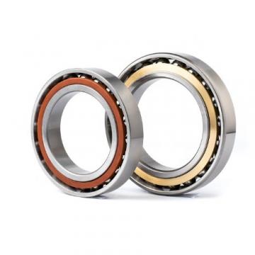 120 mm x 215 mm x 58 mm  SKF C2224 cylindrical roller bearings