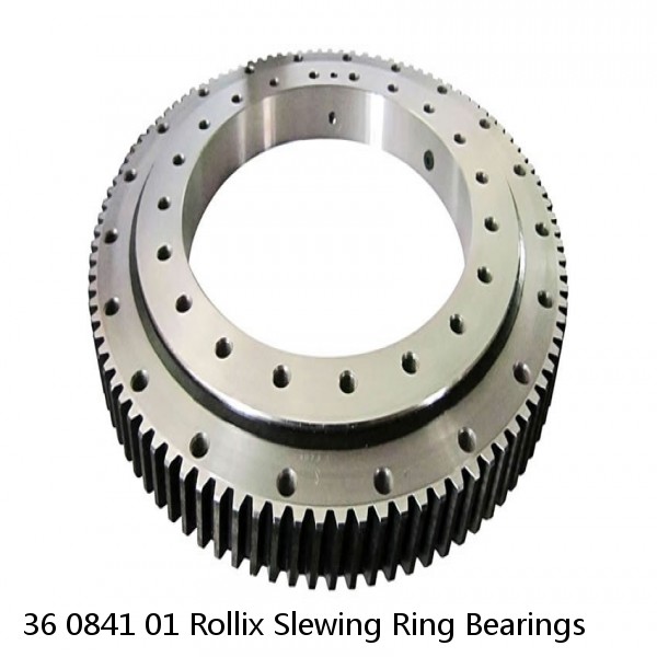 36 0841 01 Rollix Slewing Ring Bearings #1 small image