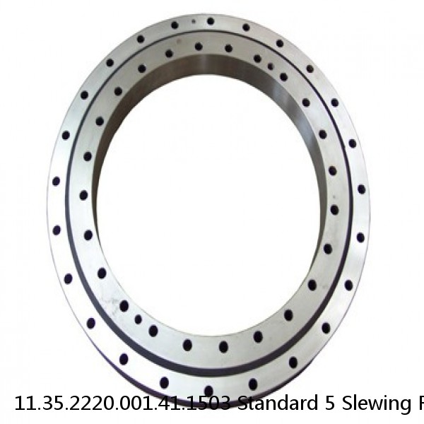 11.35.2220.001.41.1503 Standard 5 Slewing Ring Bearings #1 small image
