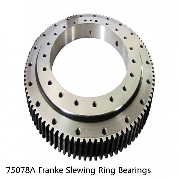 75078A Franke Slewing Ring Bearings #1 small image