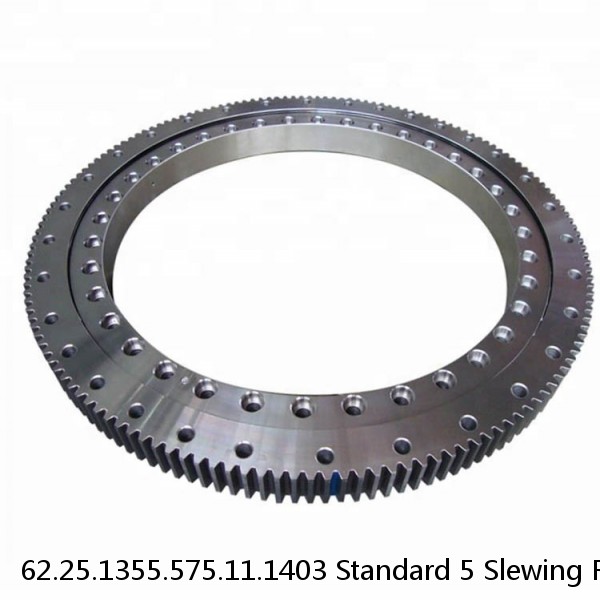 62.25.1355.575.11.1403 Standard 5 Slewing Ring Bearings #1 small image