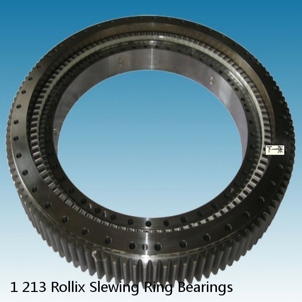 1 213 Rollix Slewing Ring Bearings #1 small image