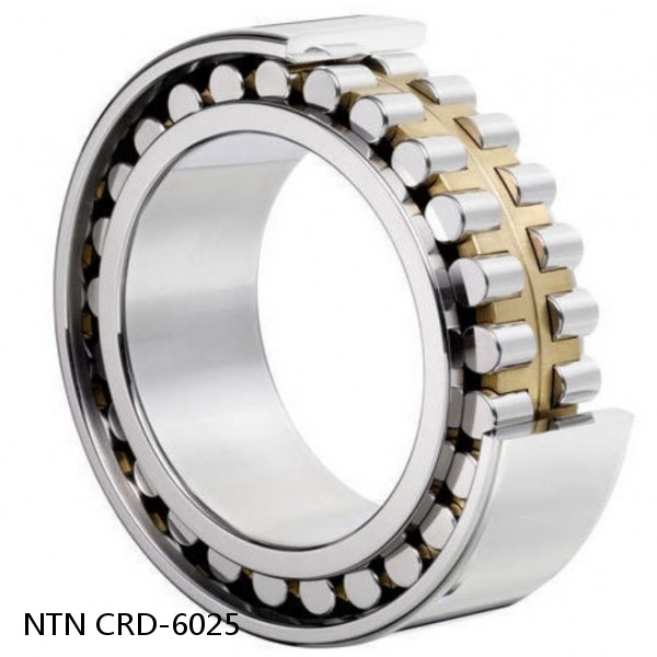 CRD-6025 NTN Cylindrical Roller Bearing #1 small image