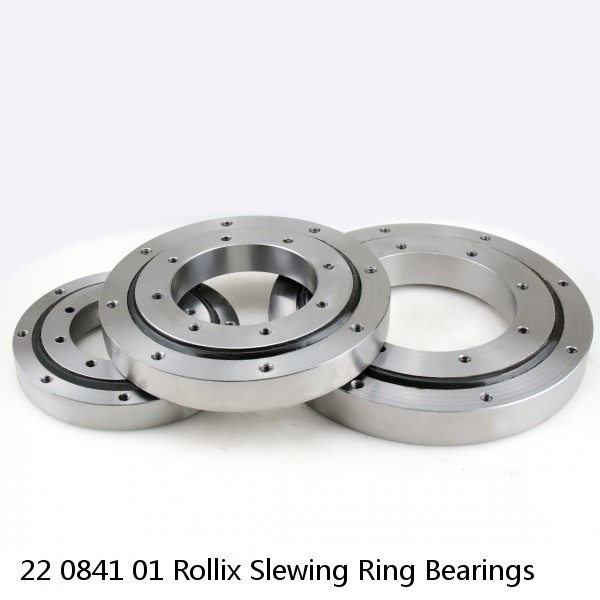 22 0841 01 Rollix Slewing Ring Bearings #1 small image