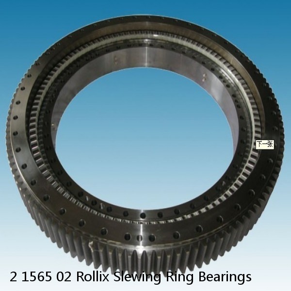 2 1565 02 Rollix Slewing Ring Bearings #1 small image