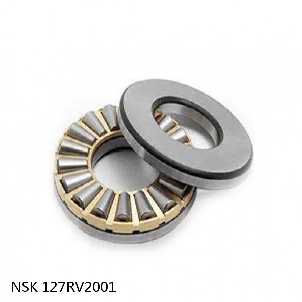 127RV2001 NSK Four-Row Cylindrical Roller Bearing #1 small image