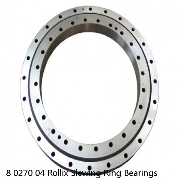 8 0270 04 Rollix Slewing Ring Bearings #1 image