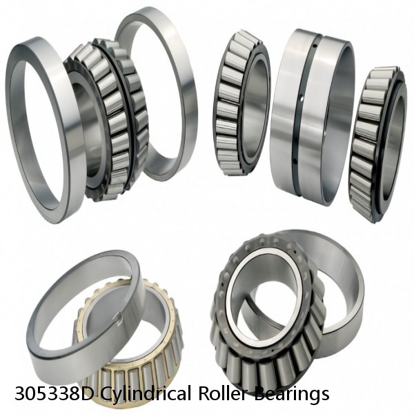 305338D Cylindrical Roller Bearings #1 image