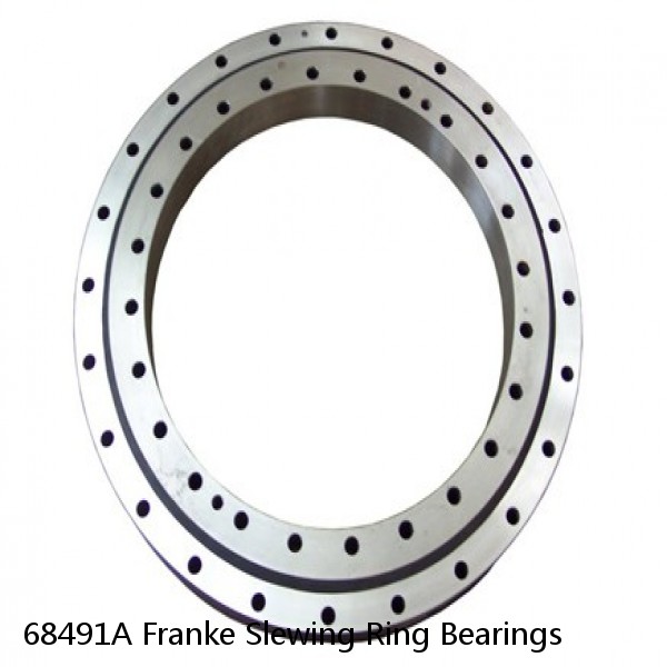 68491A Franke Slewing Ring Bearings #1 image