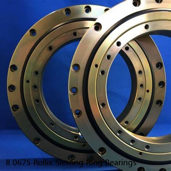8 0675 Rollix Slewing Ring Bearings #1 image