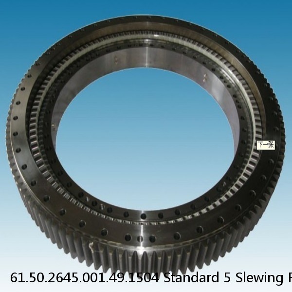61.50.2645.001.49.1504 Standard 5 Slewing Ring Bearings #1 image