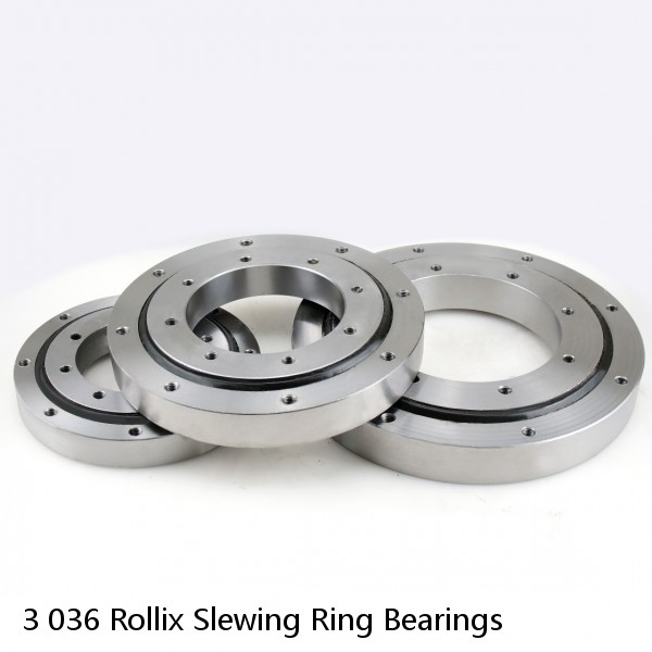 3 036 Rollix Slewing Ring Bearings #1 image