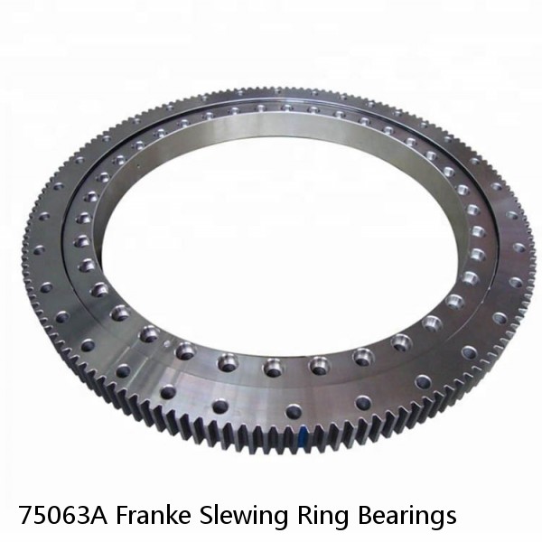 75063A Franke Slewing Ring Bearings #1 image