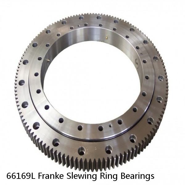 66169L Franke Slewing Ring Bearings #1 image