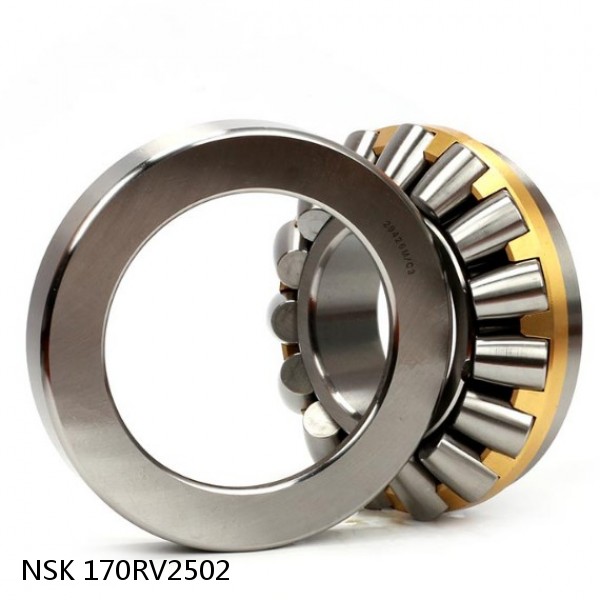 170RV2502 NSK Four-Row Cylindrical Roller Bearing #1 image