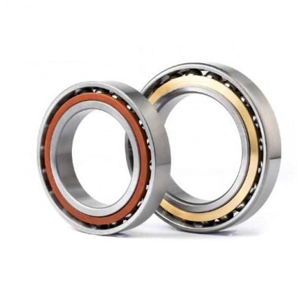 120 mm x 215 mm x 58 mm  SKF C2224 cylindrical roller bearings #2 image